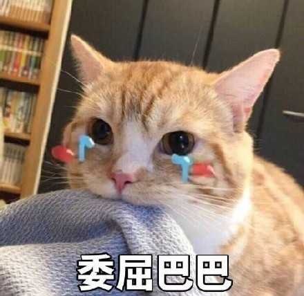 「花呗,你变了」