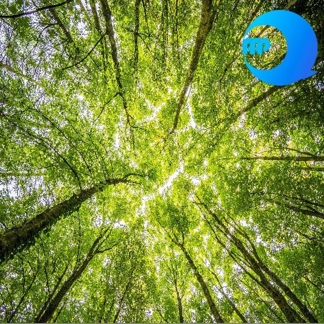 生态环境导向的开发模式(EOD模式)政策梳理