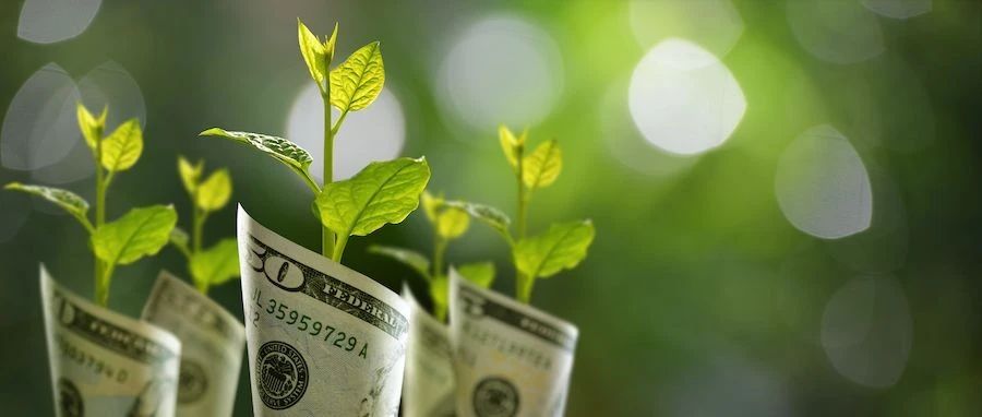 摩根大通:全球另类投资最新趋势与特征