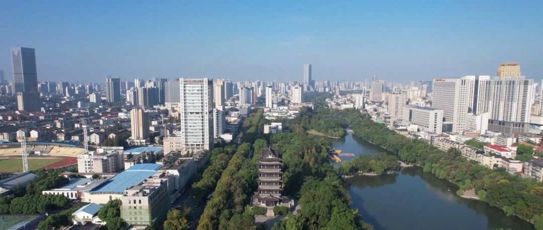 合肥又抄底成功,赢麻了!